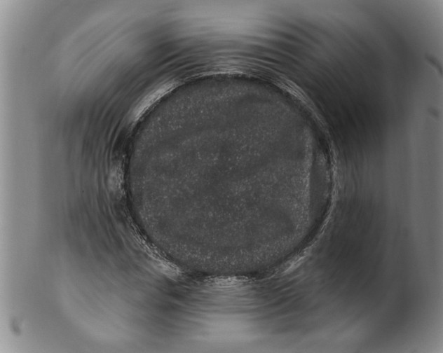 X0000100390826200806271355