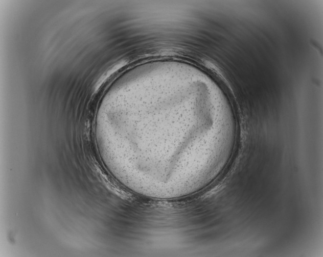 X0000100390827200806271355