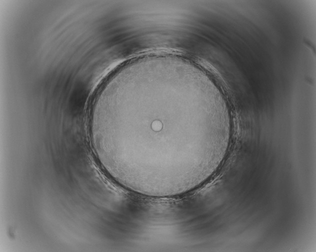 X0000100390828200806271355