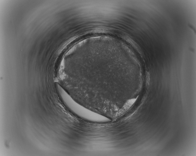 X0000100390829200806271355