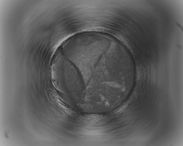 X0000100390830200806271355