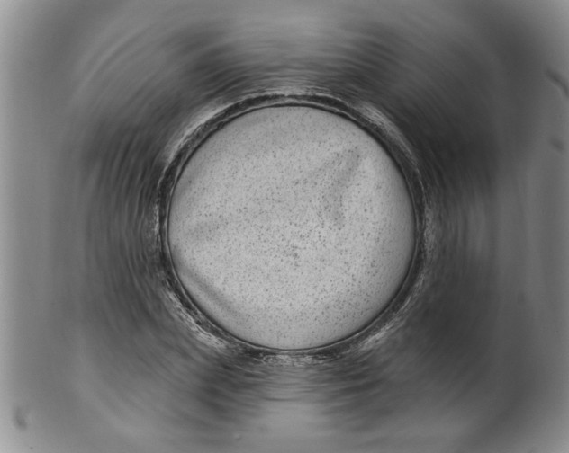 X0000100390831200806271355