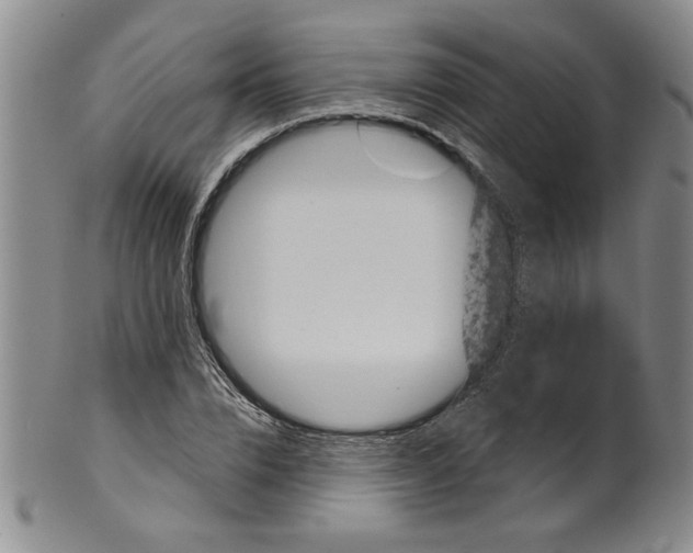 X0000100390832200806271355