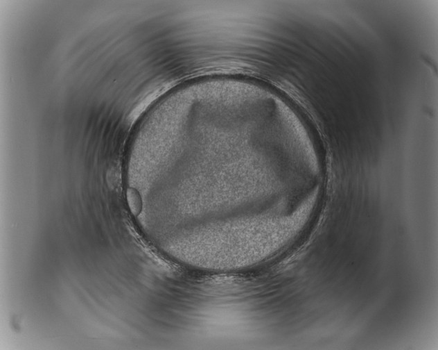 X0000100390834200806271355