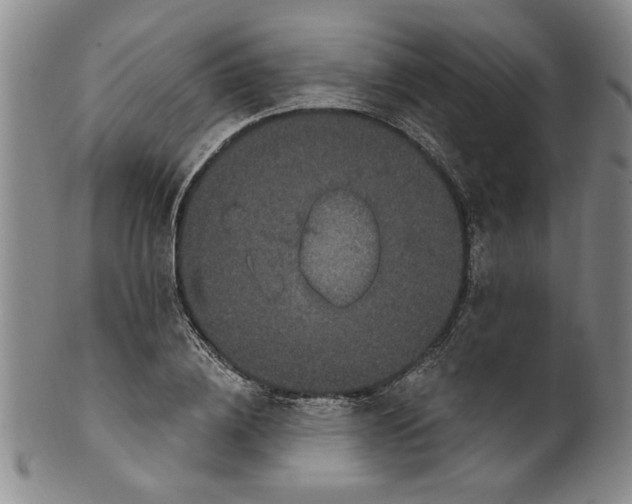 X0000100390836200806271355