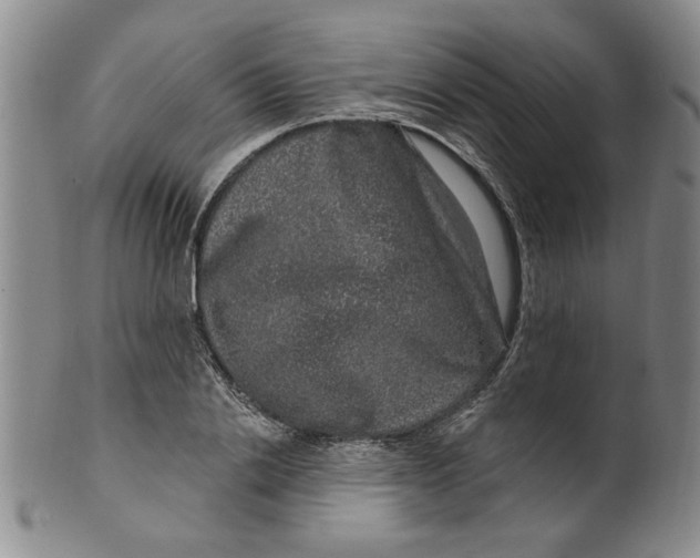 X0000100390838200806271355