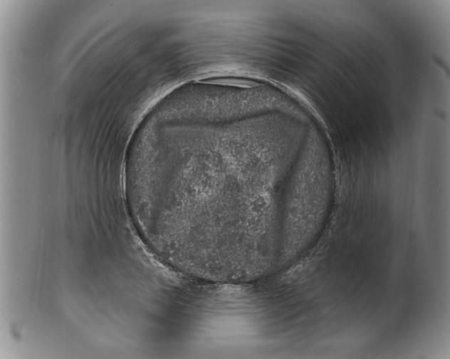 X0000100390839200806271355