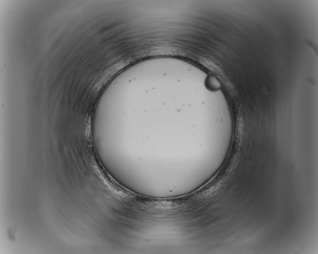 X0000100390841200806271355