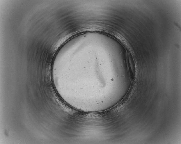 X0000100390842200806271355