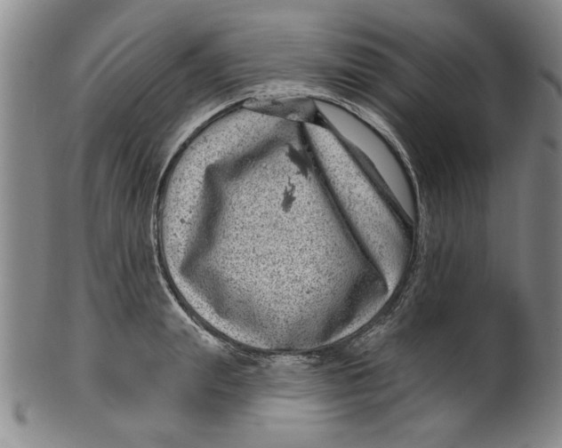 X0000100390847200806271355