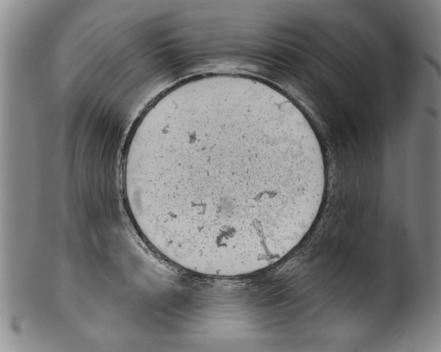 X0000100390848200806271355