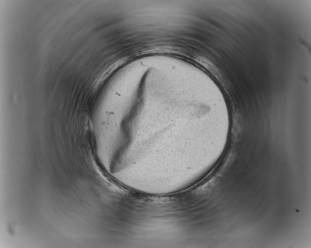 X0000100390849200806271355