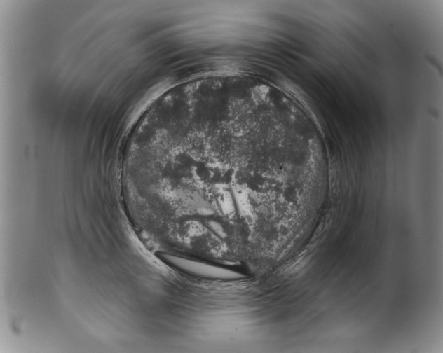 X0000100390851200806271355