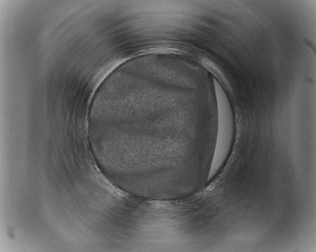 X0000100390852200806271355