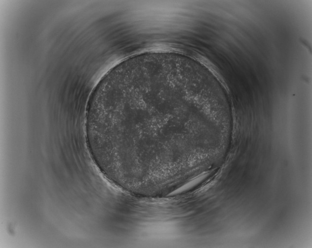 X0000100390853200806271355