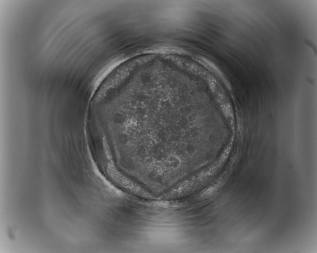 X0000100390855200806271356