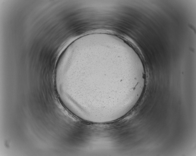 X0000100390860200806271356