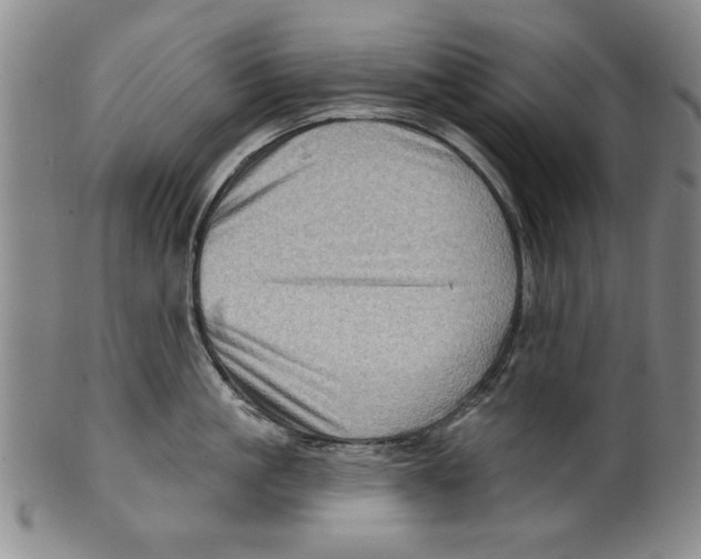 X0000100390861200806271356