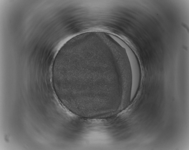 X0000100390862200806271356