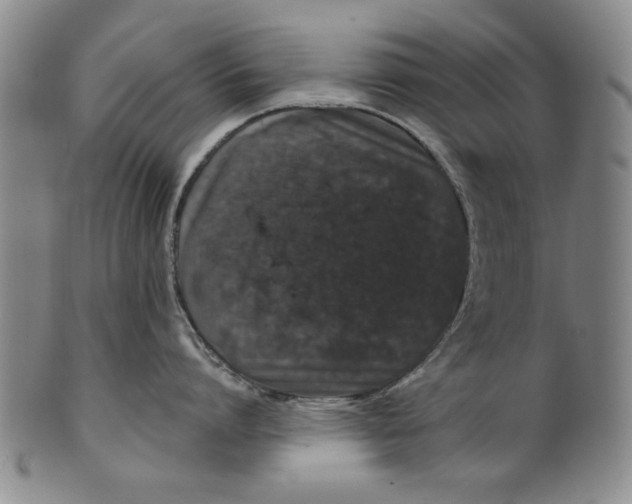 X0000100390864200806271356