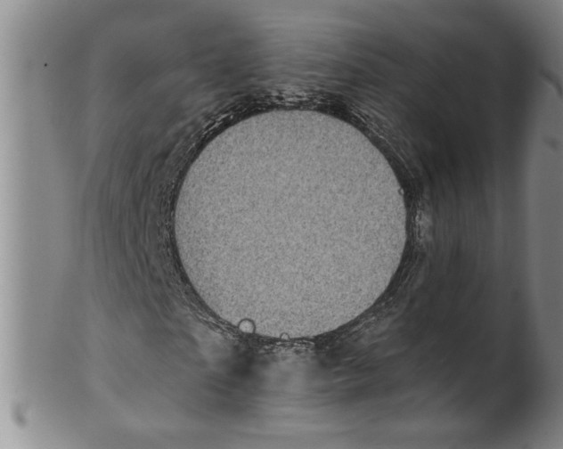 X0000100390865200806271355