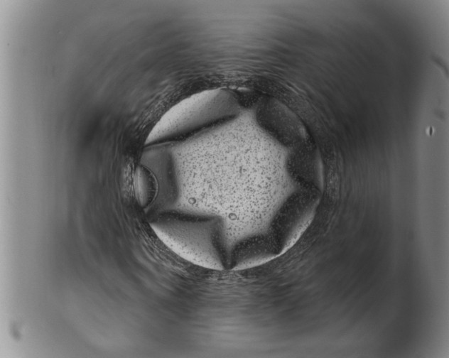 X0000100390866200806271355