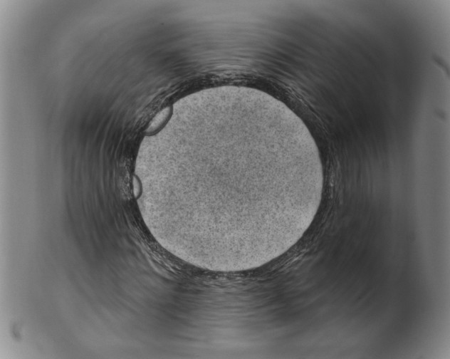 X0000100390868200806271355