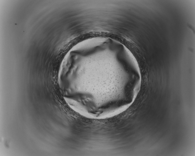 X0000100390870200806271355