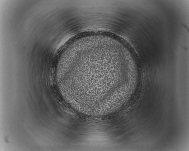 X0000100390871200806271355