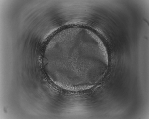 X0000100390872200806271355