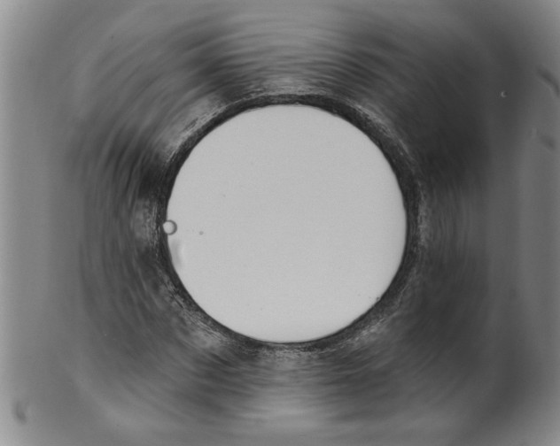 X0000100390873200806271355