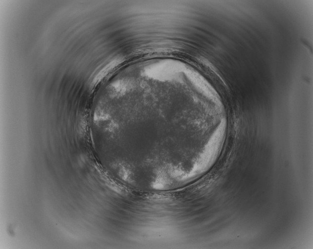 X0000100390874200806271355