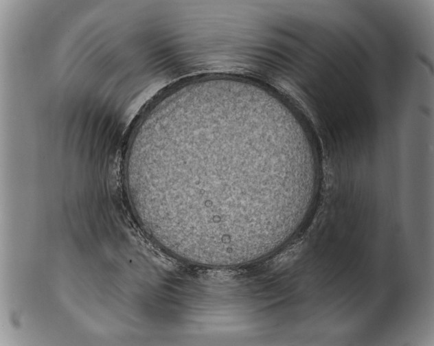 X0000100390875200806271355