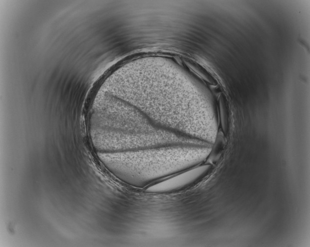 X0000100390876200806271355