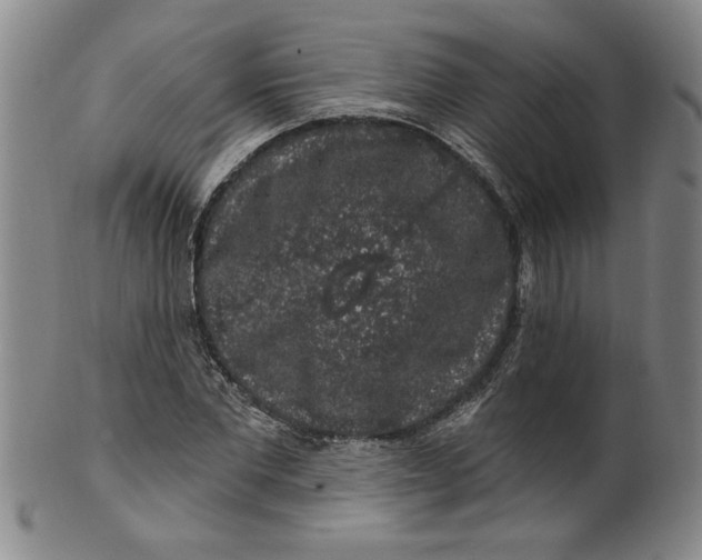 X0000100390877200806271355