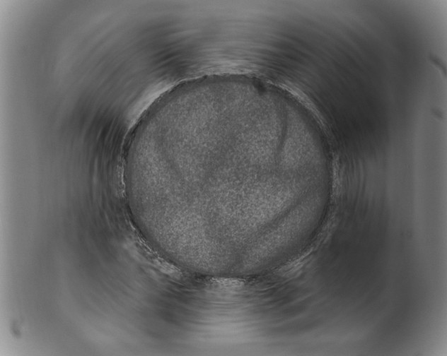 X0000100390878200806271355