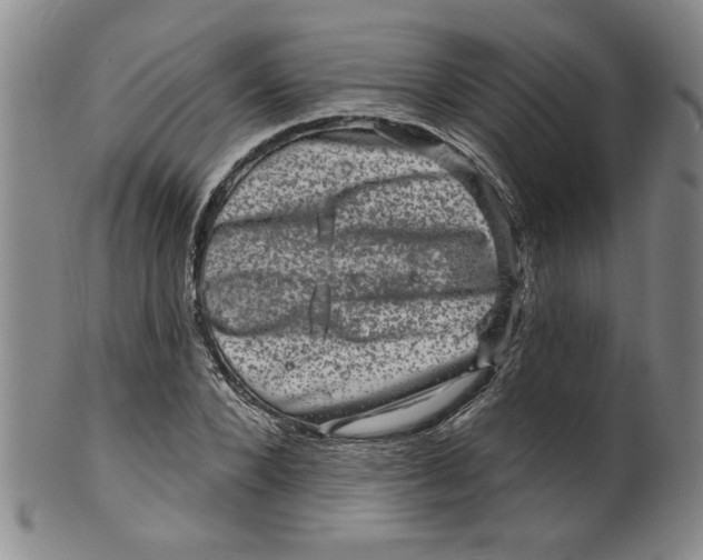 X0000100390880200806271355