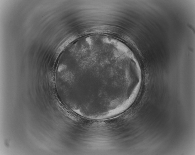 X0000100390882200806271355