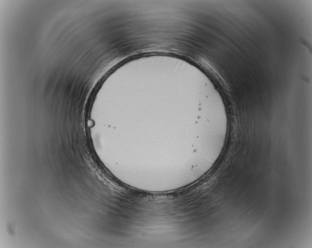 X0000100390884200806271355