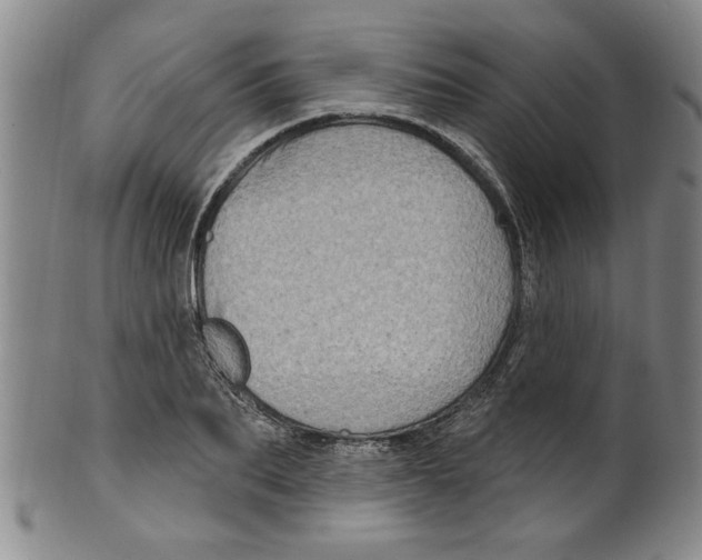 X0000100390887200806271355