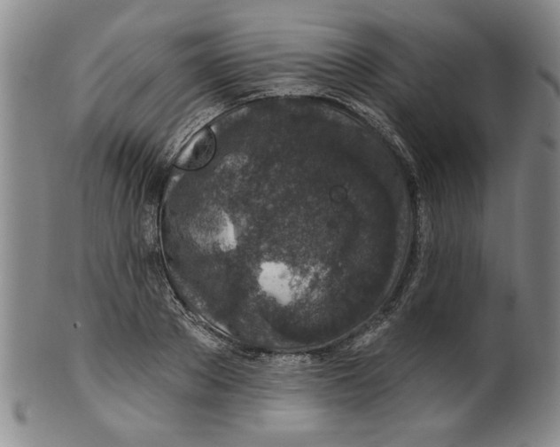 X0000100390889200806271355