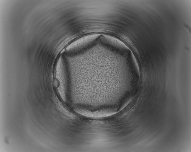 X0000100390890200806271355