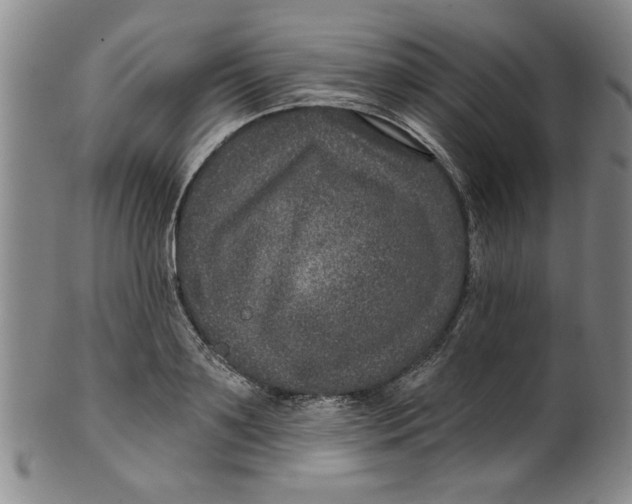 X0000100390891200806271355