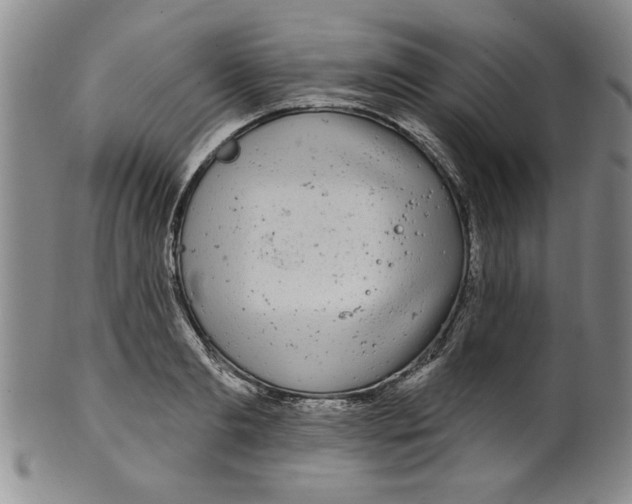 X0000100390893200806271355