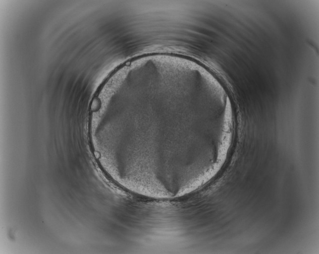 X0000100390896200806271354