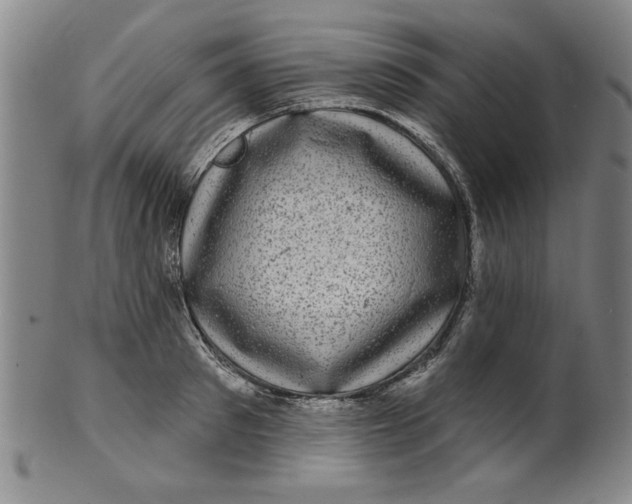 X0000100390897200806271354