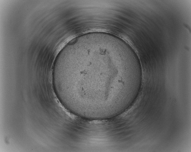 X0000100390898200806271354