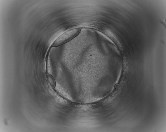 X0000100390900200806271354