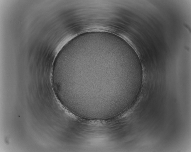 X0000100390901200806271354