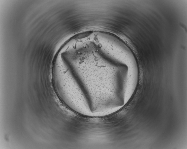 X0000100390904200806271354